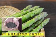 【朝採り直送】夏芽アスパラガス&nbsp;1kg（L-Mサイズ）福岡県産&nbsp;2026年