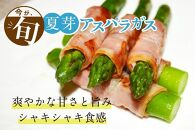 【朝採り直送】夏芽アスパラガス&nbsp;1kg（L-Mサイズ）福岡県産&nbsp;2026年