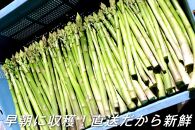 【朝採り直送】夏芽アスパラガス&nbsp;1kg（L-Mサイズ）福岡県産&nbsp;2026年