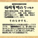 海苔の佃煮 チューブ 4本 とろける食感と豊かな風味 (福岡有明のり)