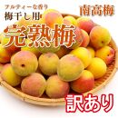 訳あり 手もぎ完熟南高梅 5Kg 大つぶ3L以上【発送期日：2024年6月中旬～下旬頃】