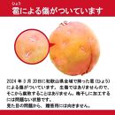 訳あり 手もぎ完熟南高梅 5Kg 大つぶ3L以上【発送期日：2024年6月中旬～下旬頃】