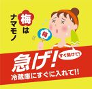 訳あり 手もぎ完熟南高梅 5Kg 大つぶ3L以上【発送期日：2024年6月中旬～下旬頃】