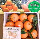 越冬完熟袋掛けネーブル&nbsp;約5kg&nbsp;（15〜21個入り）