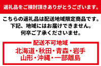 ギラファノコギリクワガタ&nbsp;ペア（オス95mm前後・メスフリー）※配送不可地域あり