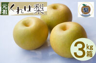 【先行受付】元祖くれは梨 3kg箱