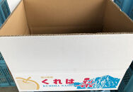 【先行受付】くれは梨　3kg箱