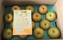 【先行受付】くれは梨　5kg箱