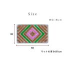 玄関マット 泥 雪 落とし 36×60cm マルチ3色 SNG102107801