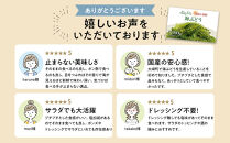 【発送は4月以降】海の幸　朝採れぷちぷち海ぶどう&nbsp;朝採れ新鮮&nbsp;海ぶどう～MOBAKO育ちのSEAGRAPES！？～