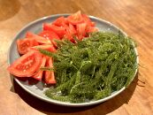 【発送は4月以降】海の幸　朝採れぷちぷち海ぶどう&nbsp;朝採れ新鮮&nbsp;海ぶどう～MOBAKO育ちのSEAGRAPES！？～