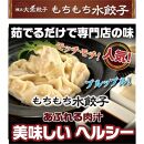 全て国産食材、銘柄豚使用！肉汁あふれる！【横浜大宝餃子】もちもち国産ジャンボ大宝餃子30個ともちもち水餃子40個 老舗餃子メーカー 横浜中華 焼餃子 冷凍餃子 ギョーザ ぎょうざ 大きい 中華 おかず 惣菜 ギフト プレゼント