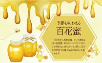 【数量限定】 希少種 日本ミツバチの「結晶化はちみつ」600g　鹿児島県大崎町産