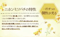 【数量限定】 希少種 日本ミツバチの「結晶化はちみつ」600g　鹿児島県大崎町産