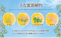 【数量限定】 希少種 日本ミツバチの「結晶化はちみつ」600g　鹿児島県大崎町産