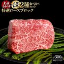 熟成肉　土佐あかうし＆土佐和牛2種食べ比べ　特選ロースブロック　約600g（約300g×各1）【ポイント交換専用】