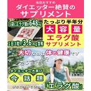 エラグ酸 サプリ 大容量約半年分エラグ酸サプリメント 540粒