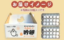 ＼うみたて出荷／ 卵 30個 たまご 玉子 タマゴ 鶏卵 国産 ごはん 卵かけごはん 卵焼き 玉子焼き オムライス 人気 おすすめ お取り寄せ グルメ 宮城