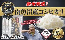 「無地のし」&nbsp;令和7年産&nbsp;新潟県&nbsp;南魚沼産&nbsp;コシヒカリ&nbsp;お米&nbsp;5kg×5袋&nbsp;計&nbsp;25kg&nbsp;精米済み（お米の美味しい炊き方ガイド付き）&nbsp;お米&nbsp;こめ&nbsp;白米&nbsp;こしひかり&nbsp;食品&nbsp;人気&nbsp;おすすめ&nbsp;&nbsp;魚沼&nbsp;南魚沼&nbsp;南魚沼市&nbsp;新潟県産&nbsp;新潟県&nbsp;精米&nbsp;産直&nbsp;産地直送