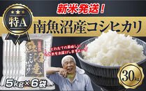 【令和8年産　新米予約】新潟県&nbsp;南魚沼産&nbsp;コシヒカリ&nbsp;お米&nbsp;5kg×6袋&nbsp;計&nbsp;30kg&nbsp;精米済み（お米の美味しい炊き方ガイド付き）&nbsp;お米&nbsp;こめ&nbsp;白米&nbsp;こしひかり&nbsp;食品&nbsp;人気&nbsp;おすすめ&nbsp;&nbsp;魚沼&nbsp;南魚沼&nbsp;南魚沼市&nbsp;新潟県産&nbsp;新潟県&nbsp;精米&nbsp;産直&nbsp;産地直送【2026年10月中旬より1ヶ月以内に順次発送予定】