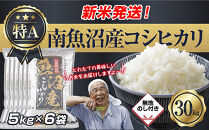 【令和8年産　新米予約】「無地のし」&nbsp;新潟県&nbsp;南魚沼産&nbsp;コシヒカリ&nbsp;お米&nbsp;5kg×6袋&nbsp;計&nbsp;30kg&nbsp;精米済み（お米の美味しい炊き方ガイド付き）&nbsp;お米&nbsp;こめ&nbsp;白米&nbsp;こしひかり&nbsp;食品&nbsp;人気&nbsp;おすすめ&nbsp;魚沼&nbsp;南魚沼&nbsp;南魚沼市&nbsp;新潟県産&nbsp;新潟県&nbsp;精米&nbsp;産直&nbsp;産地直送【2026年10月中旬より1ヶ月以内に順次発送予定】