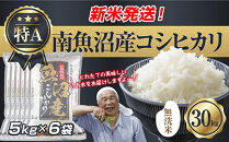 「無洗米」&nbsp;令和7年産&nbsp;新潟県&nbsp;南魚沼産&nbsp;コシヒカリ&nbsp;お米&nbsp;5kg×6袋&nbsp;計&nbsp;30kg&nbsp;精米済み（お米の美味しい炊き方ガイド付き）&nbsp;お米&nbsp;こめ&nbsp;白米&nbsp;こしひかり&nbsp;食品&nbsp;人気&nbsp;おすすめ&nbsp;&nbsp;魚沼&nbsp;南魚沼&nbsp;南魚沼市&nbsp;新潟県産&nbsp;新潟県&nbsp;精米&nbsp;産直&nbsp;産地直送