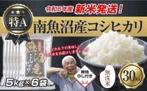 【新米発送】無地のし 「無洗米」 令和6年産 新潟県 南魚沼産 コシヒカリ お米 5kg×6袋 計 30kg 精米済み（お米の美味しい炊き方ガイド付き） お米 こめ 白米 新米 こしひかり  魚沼 南魚沼 南魚沼市 新潟県産 新潟県 産地直送