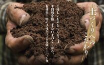 【新米発送】「無洗米」 令和6年産 新潟県 南魚沼産 コシヒカリ お米 2kg×3袋 計 6kg 精米済み（お米の美味しい炊き方ガイド付き） お米 こめ 白米 新米 こしひかり 食品 人気 おすすめ  魚沼 南魚沼 南魚沼市 新潟県産 新潟県 精米 産直 産地直送