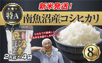 【令和8年産　新米予約】新潟県&nbsp;南魚沼産&nbsp;コシヒカリ&nbsp;お米&nbsp;2kg×4袋&nbsp;計&nbsp;8kg&nbsp;精米済み（お米の美味しい炊き方ガイド付き）&nbsp;お米&nbsp;こめ&nbsp;白米&nbsp;こしひかり&nbsp;食品&nbsp;人気&nbsp;おすすめ&nbsp;魚沼&nbsp;南魚沼&nbsp;南魚沼市&nbsp;新潟県産&nbsp;新潟県&nbsp;精米&nbsp;産直&nbsp;産地直送【2026年10月中旬より1ヶ月以内に順次発送予定】