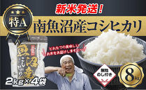 【令和8年産　新米予約】「無地のし」&nbsp;新潟県&nbsp;南魚沼産&nbsp;コシヒカリ&nbsp;お米&nbsp;2kg×4袋&nbsp;計&nbsp;8kg&nbsp;精米済み（お米の美味しい炊き方ガイド付き）&nbsp;お米&nbsp;こめ&nbsp;白米&nbsp;こしひかり&nbsp;食品&nbsp;人気&nbsp;おすすめ&nbsp;魚沼&nbsp;南魚沼&nbsp;南魚沼市&nbsp;新潟県産&nbsp;新潟県&nbsp;精米&nbsp;産直&nbsp;産地直送【2026年10月中旬より1ヶ月以内に順次発送予定】