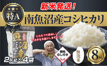 無地のし&nbsp;「無洗米」&nbsp;&nbsp;令和7年産&nbsp;新潟県&nbsp;南魚沼産&nbsp;コシヒカリ&nbsp;お米&nbsp;2kg×4袋&nbsp;計&nbsp;8kg&nbsp;精米済み（お米の美味しい炊き方ガイド付き）&nbsp;お米&nbsp;こめ&nbsp;白米&nbsp;こしひかり魚沼&nbsp;南魚沼&nbsp;南魚沼市&nbsp;新潟県産&nbsp;新潟県&nbsp;産地直送