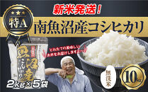 「無洗米」&nbsp;令和7年産&nbsp;新潟県&nbsp;南魚沼産&nbsp;コシヒカリ&nbsp;お米&nbsp;2kg×5袋&nbsp;計&nbsp;10kg&nbsp;精米済み（お米の美味しい炊き方ガイド付き）&nbsp;お米&nbsp;こめ&nbsp;白米&nbsp;こしひかり&nbsp;食品&nbsp;人気&nbsp;おすすめ&nbsp;&nbsp;魚沼&nbsp;南魚沼&nbsp;南魚沼市&nbsp;新潟県産&nbsp;新潟県&nbsp;精米&nbsp;産直&nbsp;産地直送