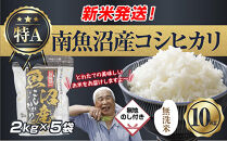 無地のし&nbsp;「無洗米」&nbsp;令和7年産&nbsp;新潟県&nbsp;南魚沼産&nbsp;コシヒカリ&nbsp;お米&nbsp;2kg×5袋&nbsp;計&nbsp;10kg&nbsp;精米済み（お米の美味しい炊き方ガイド付き）&nbsp;お米&nbsp;こめ&nbsp;白米&nbsp;こしひかり&nbsp;食品魚沼&nbsp;南魚沼&nbsp;南魚沼市&nbsp;新潟県産&nbsp;新潟県&nbsp;産地直送