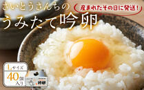 ＼うみたて出荷／&nbsp;卵&nbsp;40個&nbsp;たまご&nbsp;玉子&nbsp;タマゴ&nbsp;鶏卵&nbsp;国産&nbsp;ごはん&nbsp;卵かけごはん&nbsp;卵焼き&nbsp;玉子焼き&nbsp;オムライス&nbsp;人気&nbsp;おすすめ&nbsp;お取り寄せ&nbsp;グルメ&nbsp;宮城