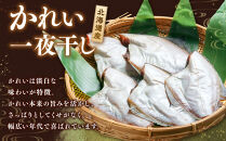 【丸富水産】北海道産&nbsp;かれい一夜干しセット　5パック