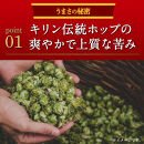 キリンビール&nbsp;キリン本麒麟&nbsp;500ml&nbsp;2ケース（48本入）｜横浜工場製&nbsp;人気&nbsp;おすすめ&nbsp;お酒&nbsp;ビール&nbsp;ギフト&nbsp;送料無料｜神奈川県&nbsp;横浜市