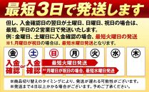 キリンビール キリン一番搾り生ビール　500ml 2ケース（48本入）【横浜工場製】