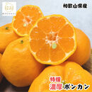 ［先行予約］極甘&nbsp;柑橘&nbsp;特選&nbsp;濃厚&nbsp;ポンカン&nbsp;3kg［MS49］