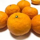 有田育ちの&nbsp;完熟&nbsp;カラマンダリン&nbsp;(ご家庭用)&nbsp;約2kg&nbsp;【先行予約・2025年4月より発送】【農園直送】【MS73】