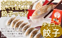 たこ焼きにしか見えないシュークリーム＋チョコっと餃子【菓子 スイーツ ケーキ おかし おやつ 面白い デザート ギフト お取り寄せ 広島県 福山市】