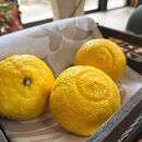 有田育ちの&nbsp;完熟&nbsp;はるかみかん（ご家庭用）約5kg［先行予約］［MS53］