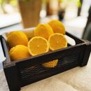 紀州和歌山&nbsp;有田レモン（ご家庭用）約1.5kg&nbsp;［先行予約］［国産］［農園直送］［ノーワックス・ノー防腐剤］［MS69］