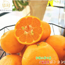 有田育ちの 完熟 ポンカン（ご家庭用）約10kg［先行予約］［MS47］