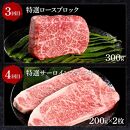 【定期便】熟成肉　土佐和牛詰め合わせ8種Aセット　8カ月