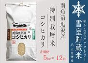 【新米】特別栽培【定期便5kg×12回】雪室貯蔵米 南魚沼塩沢産コシヒカリ＜クラウドファンディング対象＞