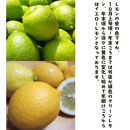 紀州和歌山&nbsp;ご家庭用&nbsp;有田&nbsp;レモン&nbsp;5kg&nbsp;［先行予約］［MS71］