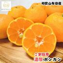 ［先行予約］極甘&nbsp;柑橘&nbsp;有田育ちの&nbsp;濃厚&nbsp;ポンカン（家庭用）3kg［MS44］