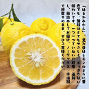 ［先行予約］［人気柑橘］&nbsp;特撰&nbsp;はるかみかん&nbsp;3kg［MS54］