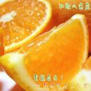 有田育ちの 完熟 清見 オレンジ (ご家庭用) 約5kg【先行予約・2025年2月～発送】【MS33】