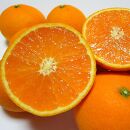 有田育ちの 完熟 清見 オレンジ (ご家庭用) 約5kg【先行予約・2025年2月～発送】【MS33】